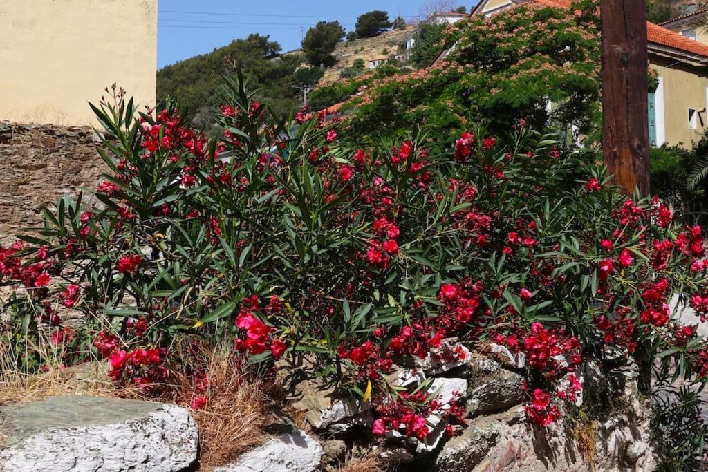 Titinas' Villa Plomari Eksteriør bilde